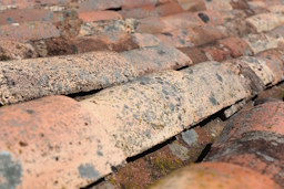 Roof Repair in Morden Park
